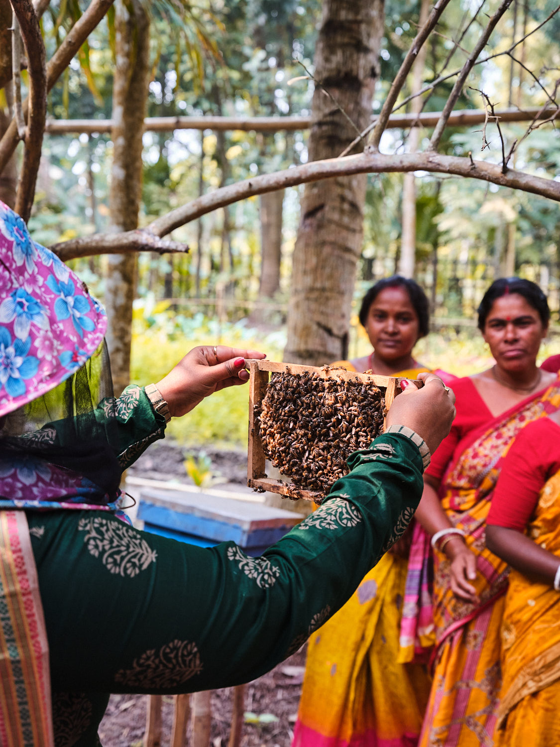 RJ_Soceo_DSF5715_web